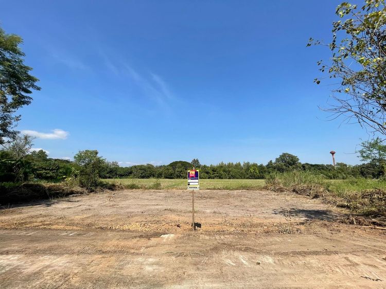 ใช่ 💖 ที่ดิน หางดง ราคาพิเศษ! 💖 รูปที่ 4