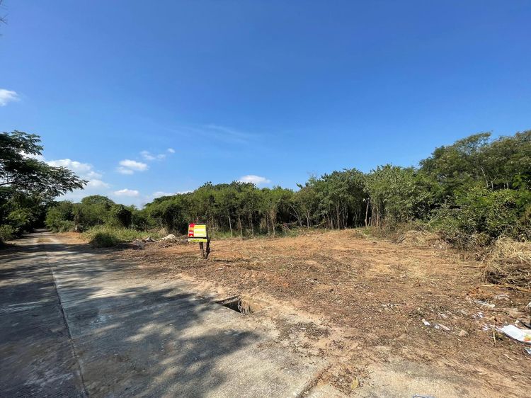 ใช่ 💖 ที่ดิน หางดง ราคาพิเศษ! 💖 รูปที่ 3