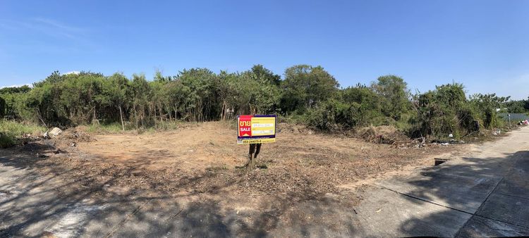 ใช่ 💖 ที่ดิน หางดง ราคาพิเศษ! 💖 รูปที่ 2