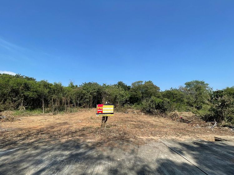 💖 ที่ดิน หางดง ราคาพิเศษ! 💖