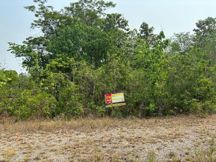 💖 ที่ดิน ห้างฉัตร ราคาพิเศษ! 💖