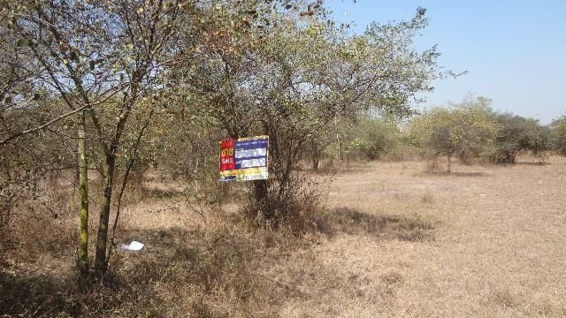 ใช่ 💖 ที่ดิน ป่าซาง ราคาพิเศษ! 💖 รูปที่ 3