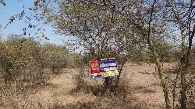 ใช่ 💖 ที่ดิน ป่าซาง ราคาพิเศษ! 💖 รูปที่ 2