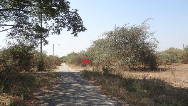 ใช่ 💖 ที่ดิน ป่าซาง ราคาพิเศษ! 💖 รูปที่ 4