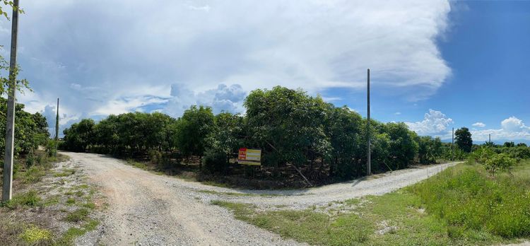 ใช่ 💖 ที่ดิน บ้านโฮ่ง ราคาพิเศษ! 💖 รูปที่ 4