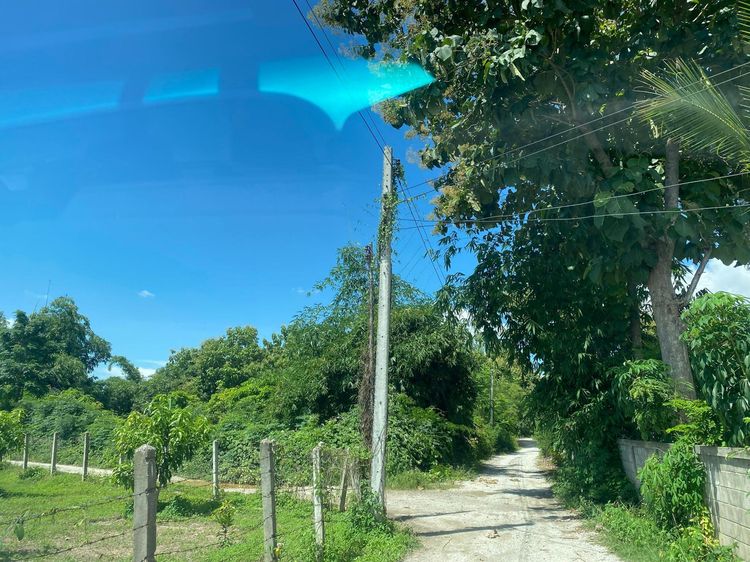 ใช่ 💖 ที่ดิน บ้านโฮ่ง ราคาพิเศษ! 💖 รูปที่ 2