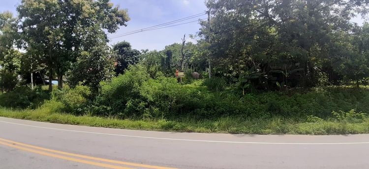 ใช่ 💖 ที่ดิน เทิง ราคาพิเศษ! 💖 รูปที่ 3