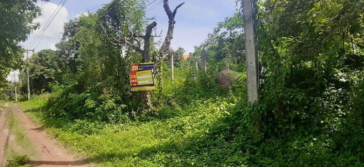 💖 ที่ดิน เทิง ราคาพิเศษ! 💖