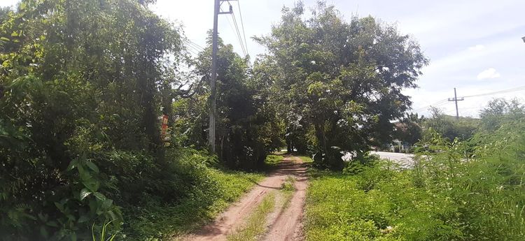 ใช่ 💖 ที่ดิน เทิง ราคาพิเศษ! 💖 รูปที่ 4