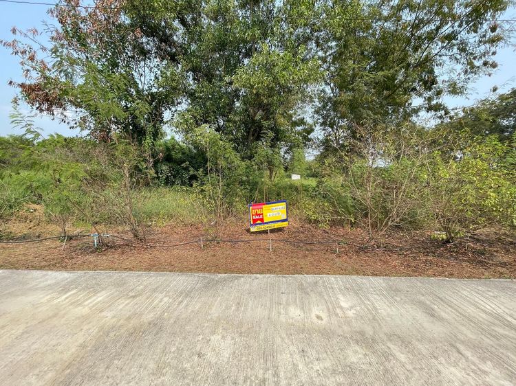 💖 ที่ดิน บางไทร ราคาพิเศษ! 💖