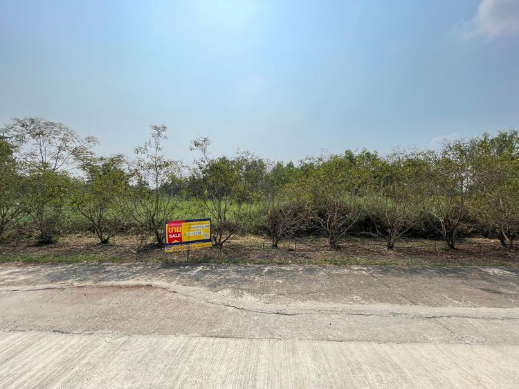 💖 ที่ดิน บางไทร ราคาพิเศษ! 💖