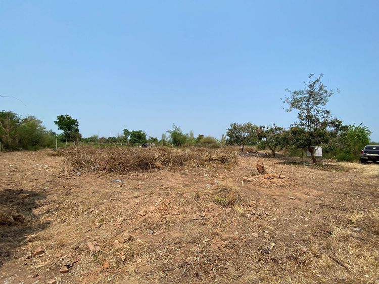 ใช่ 💖 ที่ดิน จอมทอง ราคาพิเศษ! 💖 รูปที่ 2