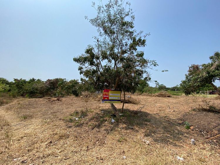 ใช่ 💖 ที่ดิน จอมทอง ราคาพิเศษ! 💖