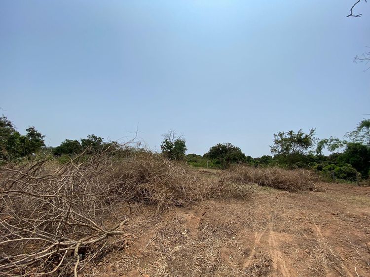 āđāļāđ ð āļāļĩāđāļāļīāļ āļāļāļĄāļāļāļ āļĢāļēāļāļēāļāļīāđāļĻāļĐ! ð āļĢāļđāļāļāļĩāđ 3