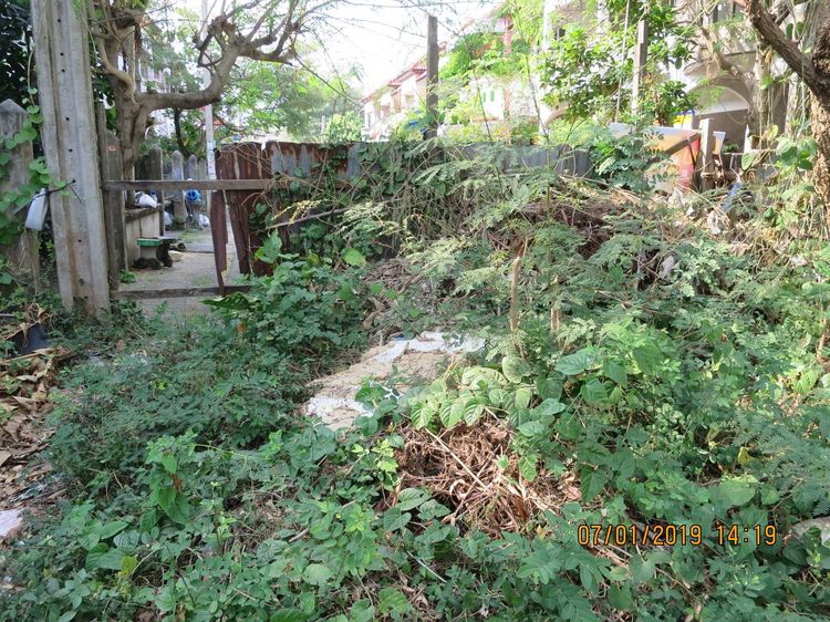 ใช่ 💖 ที่ดิน บางบัวทอง ราคาพิเศษ! 💖 รูปที่ 3