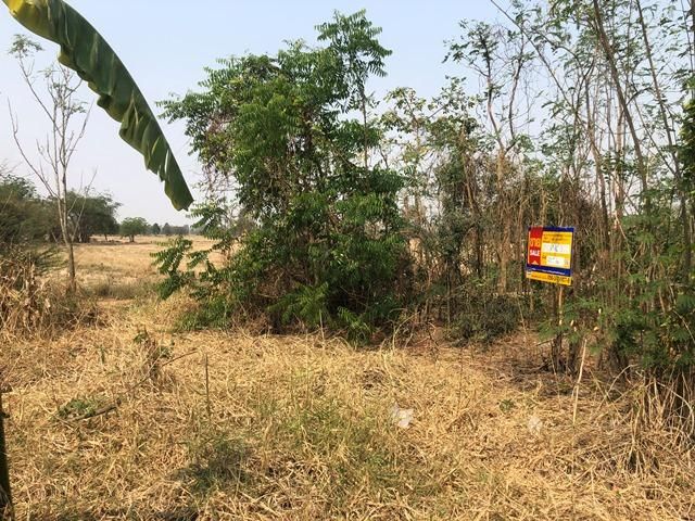 ใช่ 💖 ที่ดิน วัดสิงห์ ราคาพิเศษ! 💖 รูปที่ 2