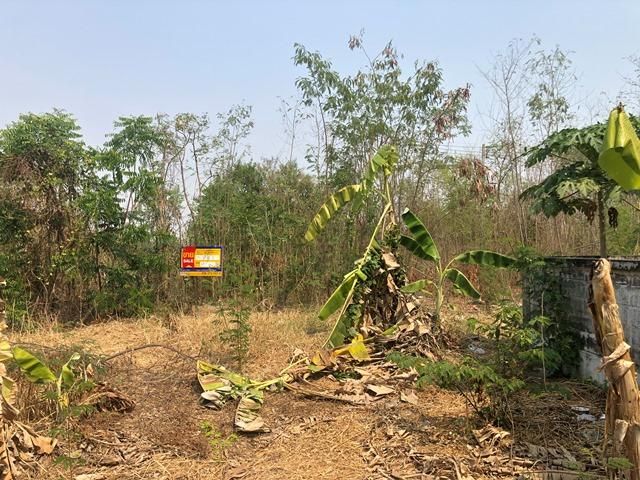 ใช่ 💖 ที่ดิน วัดสิงห์ ราคาพิเศษ! 💖