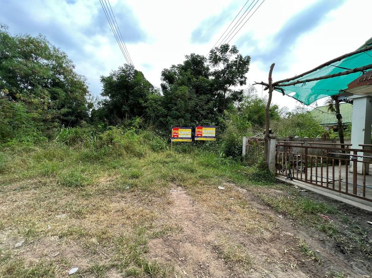 ใช่ 💖 ที่ดิน วัดสิงห์ ราคาพิเศษ! 💖 รูปที่ 3