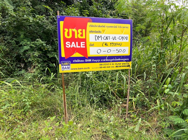 ใช่ 💖 ที่ดิน วัดสิงห์ ราคาพิเศษ! 💖 รูปที่ 4