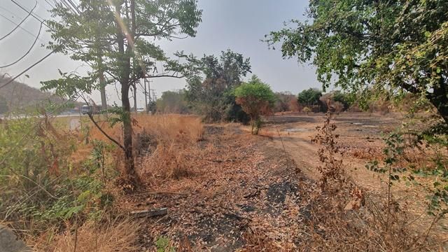 ใช่ 💖 ที่ดิน พยุหะคีรี ราคาพิเศษ! 💖 รูปที่ 4