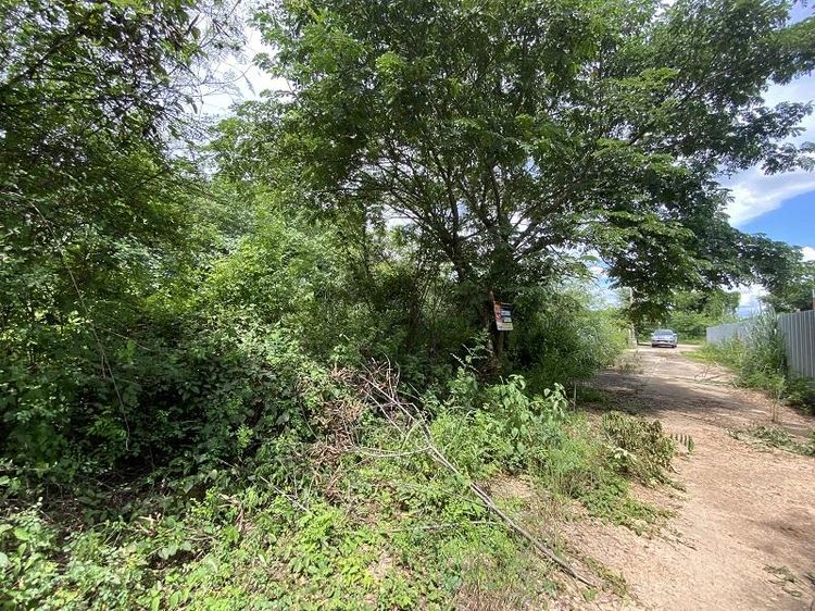 āđāļāđ ð āļāļĩāđāļāļīāļ āļŦāļēāļāļāļ āļĢāļēāļāļēāļāļīāđāļĻāļĐ! ð āļĢāļđāļāļāļĩāđ 3