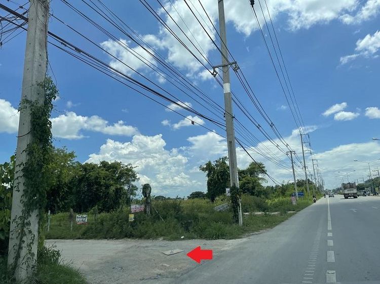 ใช่ 💖 ที่ดิน หางดง ราคาพิเศษ! 💖 รูปที่ 4