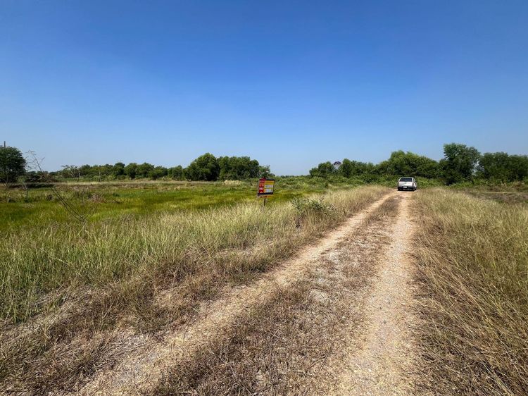 ใช่ 💖 ที่ดิน องครักษ์ ราคาพิเศษ! 💖 รูปที่ 3