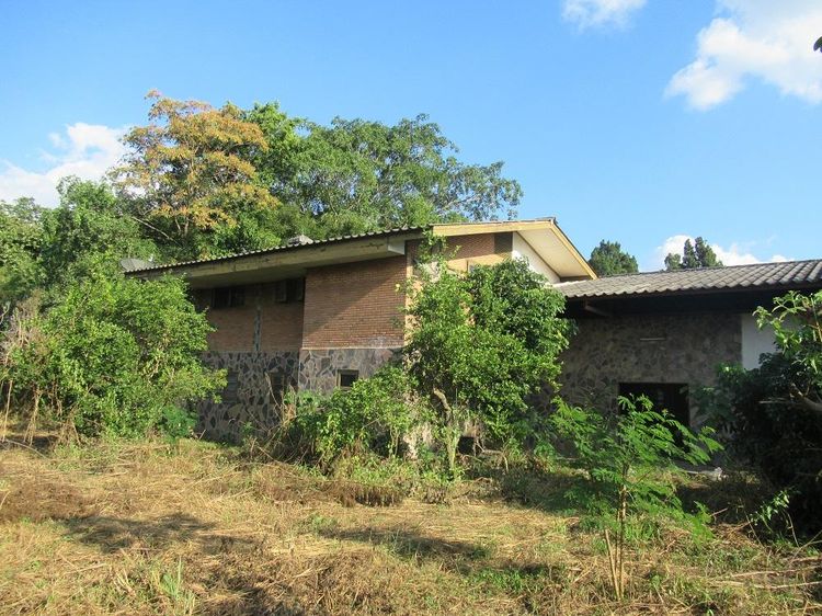 💖 บ้าน ป่าซาง ราคาพิเศษ! 💖