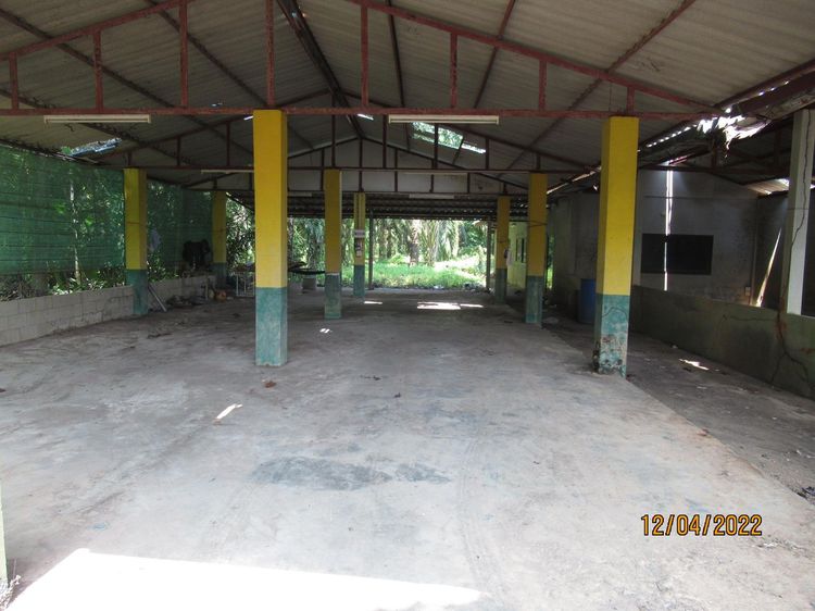 ใช่ 💖 บ้าน พุนพิน ราคาพิเศษ! 💖 รูปที่ 3