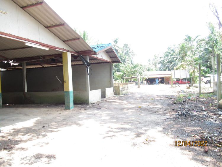 ใช่ 💖 บ้าน พุนพิน ราคาพิเศษ! 💖 รูปที่ 4