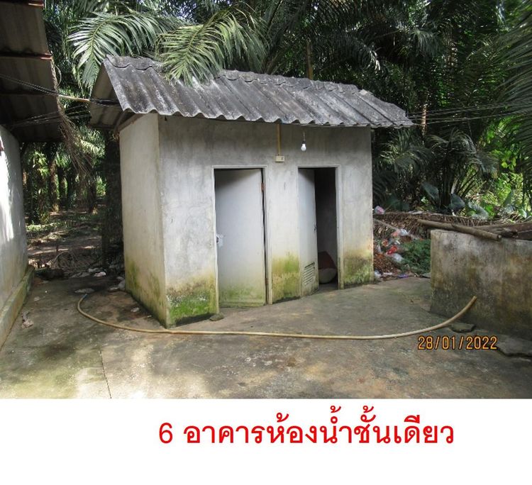 ใช่ 💖 บ้าน พุนพิน ราคาพิเศษ! 💖 รูปที่ 4