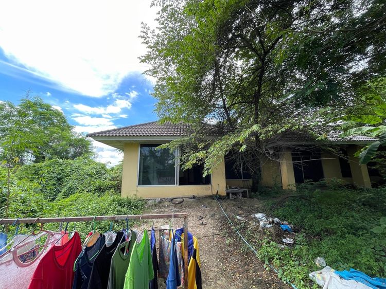 ใช่ 💖 บ้าน ดอยสะเก็ด ราคาพิเศษ! 💖 รูปที่ 4