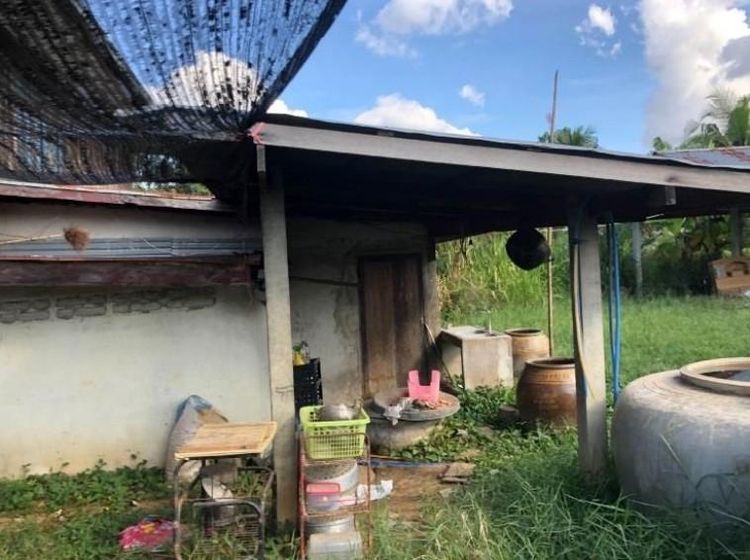 ใช่ 💖 บ้าน ประโคนชัย ราคาพิเศษ! 💖 รูปที่ 4