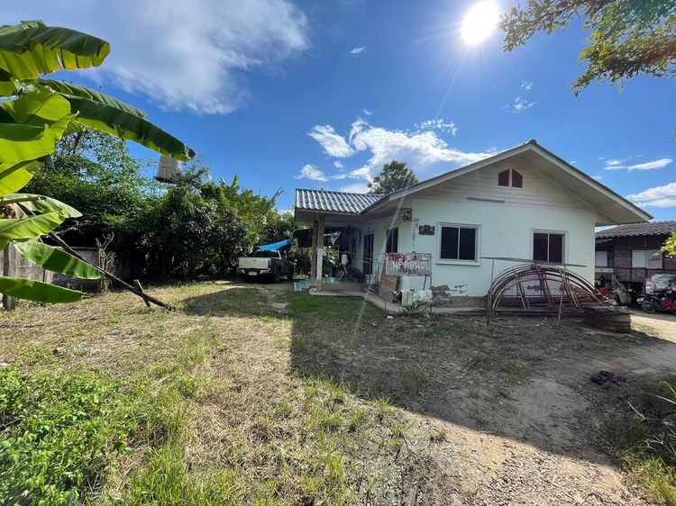 💟 บ้านเดี่ยวชั้นเดียว ดอยสะเก็ด เชียงใหม่ 💟 รูปที่ 4