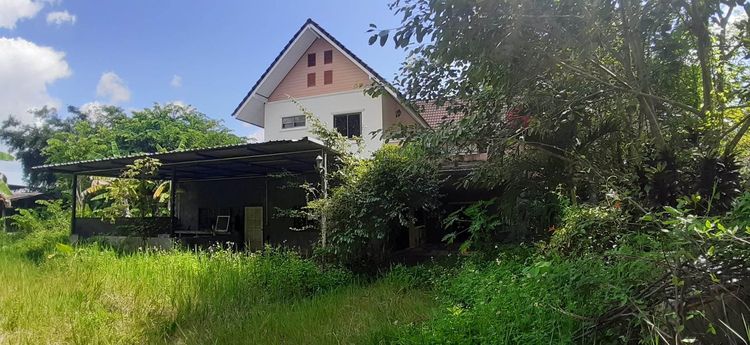 ใช่ 💖 บ้าน เวียงชัย ราคาพิเศษ! 💖 รูปที่ 4