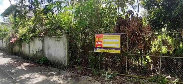 ใช่ 💖 บ้าน เวียงชัย ราคาพิเศษ! 💖