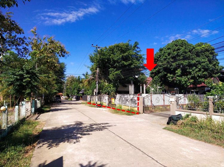 ใช่ 💖 บ้าน เมืองนครพนม ราคาพิเศษ! 💖 รูปที่ 4