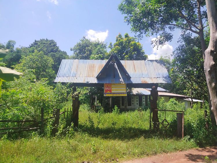 💖 บ้าน เรณูนคร ราคาพิเศษ! 💖