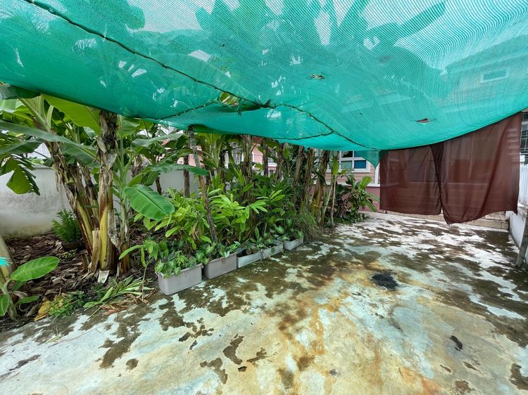 ใช่ 💖 บ้าน ปราณบุรี ราคาพิเศษ! 💖 รูปที่ 4