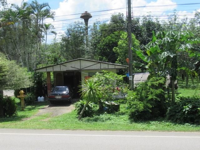 ใช่ 💖 บ้าน ปะเหลียน ราคาพิเศษ! 💖