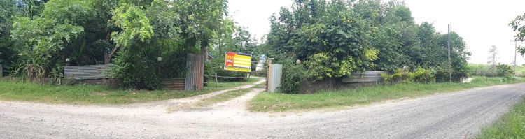 ใช่ 💖 บ้าน นาจะหลวย ราคาพิเศษ! 💖 รูปที่ 2