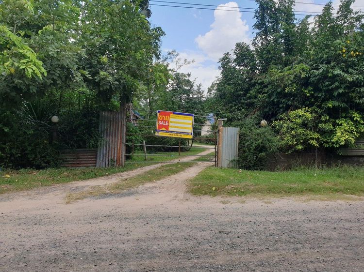 ใช่ 💖 บ้าน นาจะหลวย ราคาพิเศษ! 💖