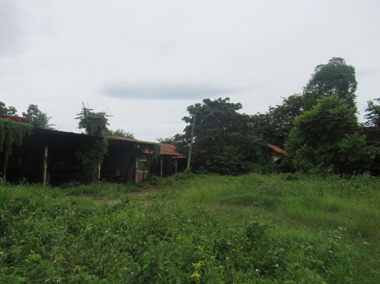 āđāļāđ ð āļāđāļēāļ āļŠāļāļāļĢāļēāļ āļĢāļēāļāļēāļāļīāđāļĻāļĐ! ð āļĢāļđāļāļāļĩāđ 3