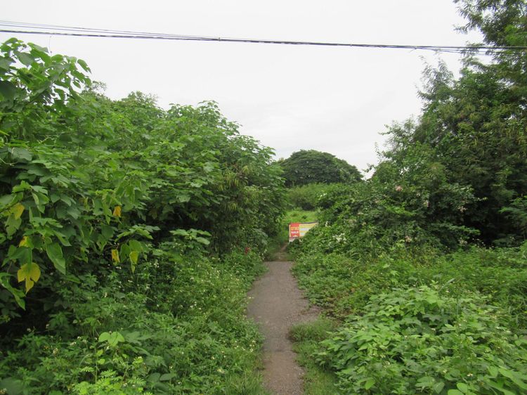 💖 บ้าน สบปราบ ราคาพิเศษ! 💖