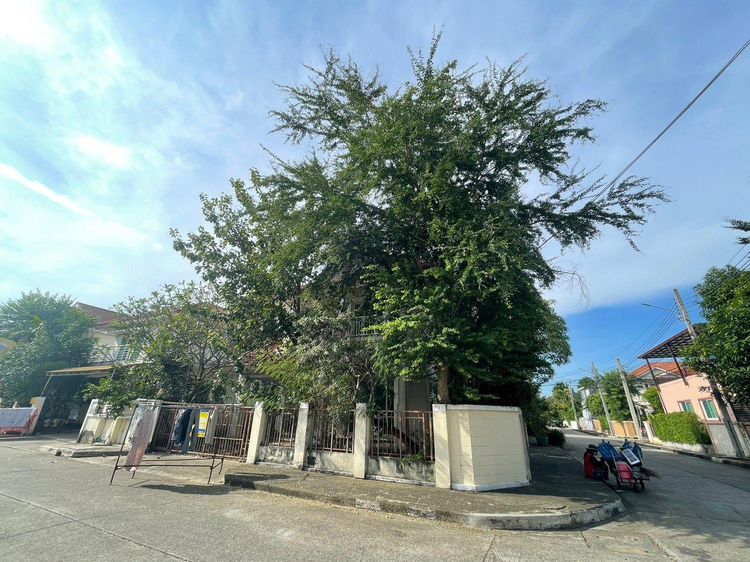 ใช่ 💖 บ้าน มีนบุรี ราคาพิเศษ! 💖 รูปที่ 3