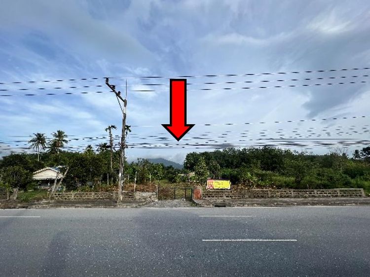 ใช่ 💖 บ้าน ร่อนพิบูลย์ ราคาพิเศษ! 💖 รูปที่ 3