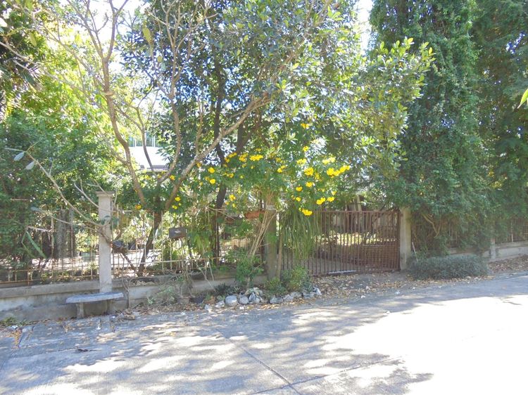 ใช่ 💖 บ้าน ธัญบุรี ราคาพิเศษ! 💖 รูปที่ 4