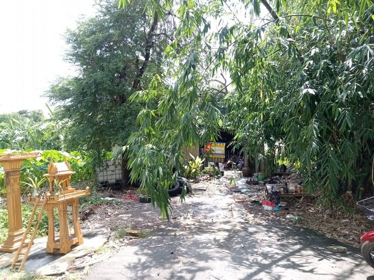 ใช่ 💖 บ้าน คลองหลวง ราคาพิเศษ! 💖 รูปที่ 4