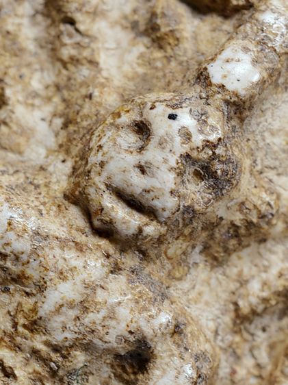 ให้เช่า พระบ้าน พระหลวงปู่เผือก วัดกิ่งแก้ว พิมพ์ขุดสระเล็ก เนื้อผง เก่า รูปที่ 15