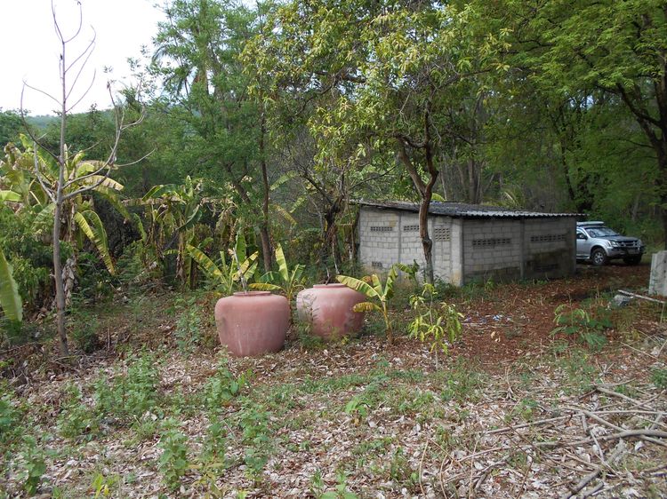 ที่ดินพร้อมบ้าน ติดลำห้วย บ้านผาแดง ต.นายม อ.เมือง จ.เพชรบูรณ์ รูปที่ 3
